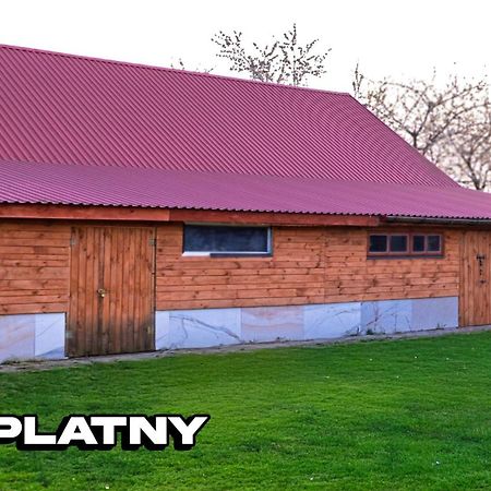 Agroturystyka Nielisz Zamosc - Kwatery Przy Skansenie 外观 照片